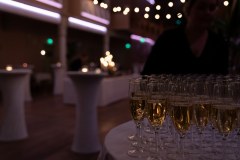 Palkansaajien_tutkimuslaitos_PT_50v._juhla_2021-149