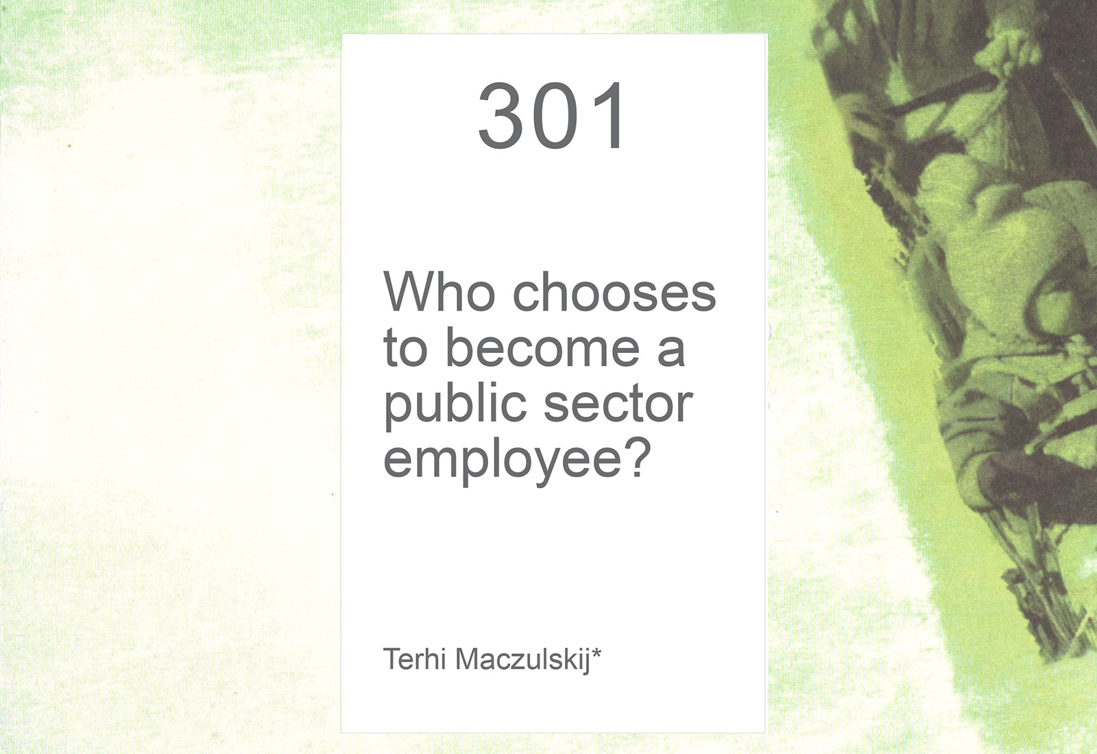 Who chooses to become a public sector employee?