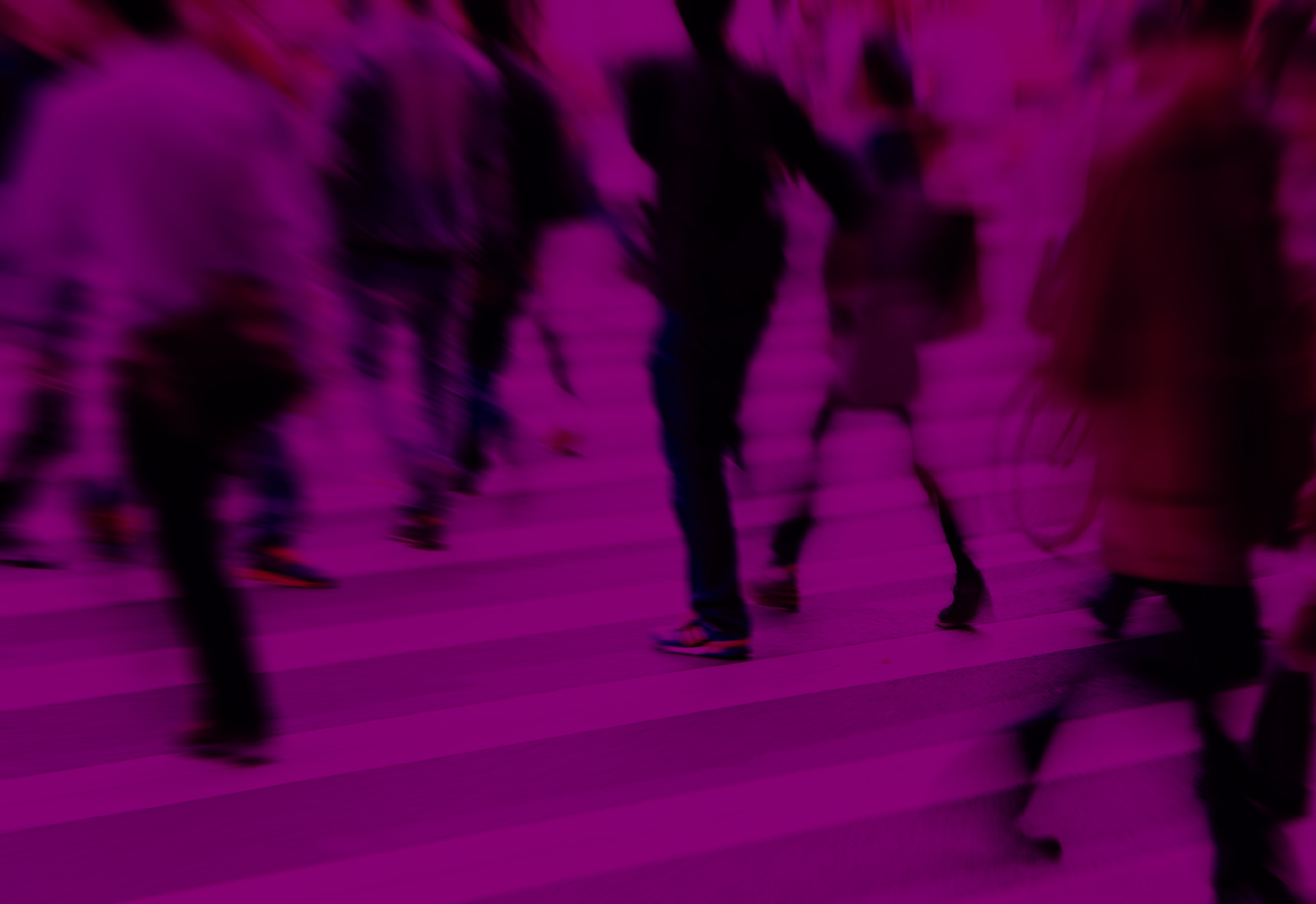 Job Market (In)Flexibility