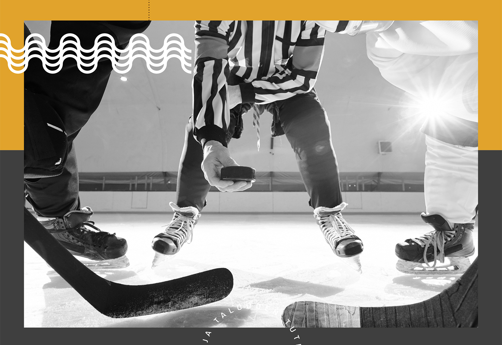 Kasvuyritykset ja yritysdynamiikka: Suomi–USA-vertailu