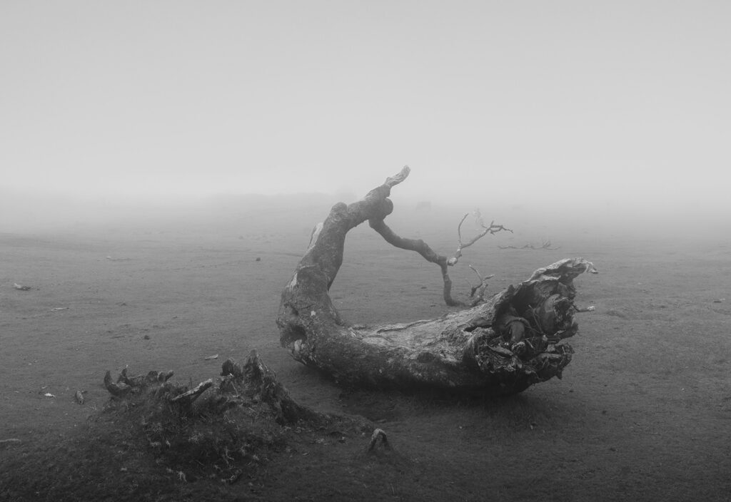 Talousennuste 2.4.2026 | Kuva: Marco Grosso, Unsplash.