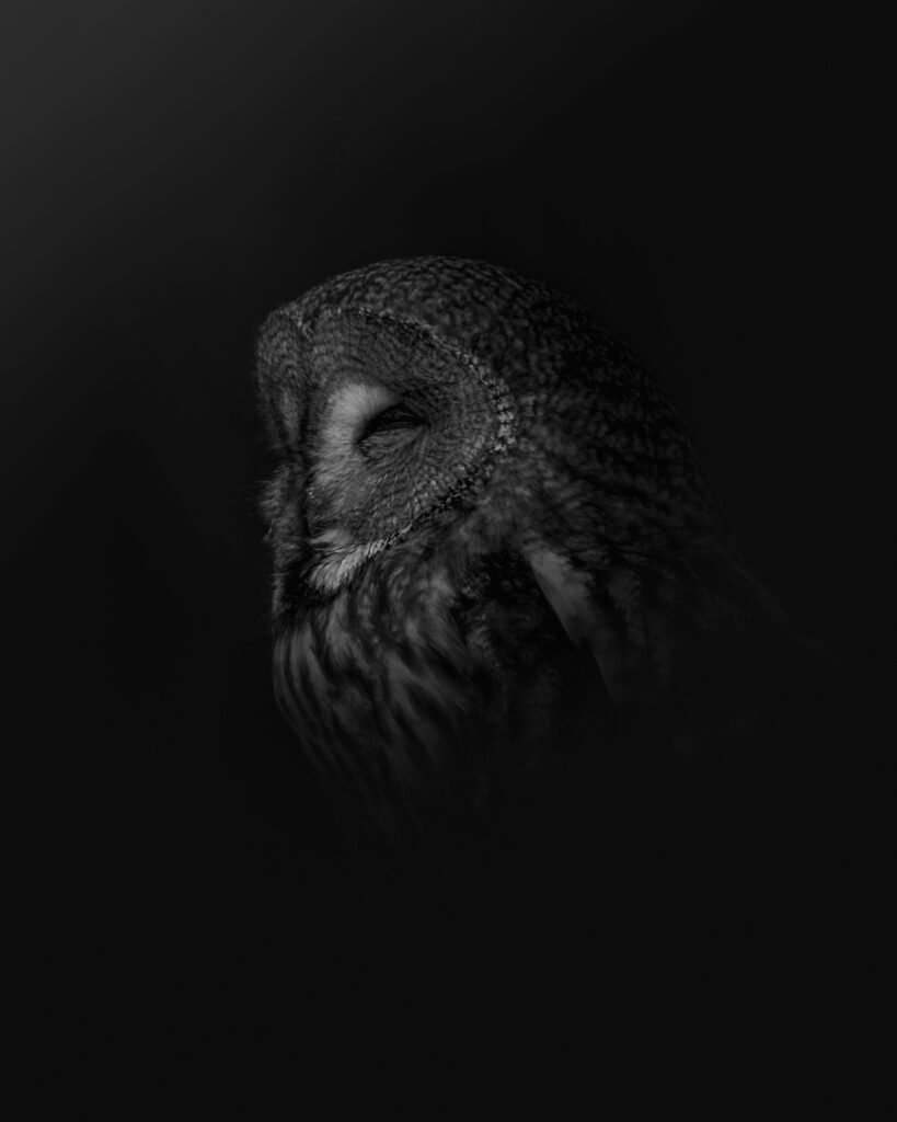 Erillispyrähdys? (Kuva: Christoph Nolte, Unsplash.)